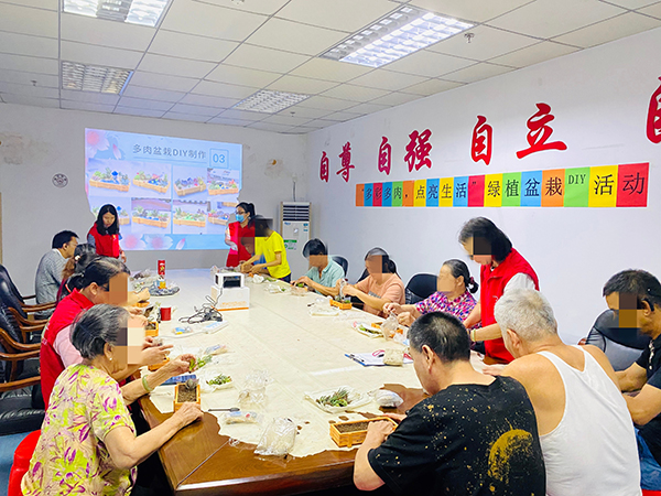 多肉绿植盆栽制作现场