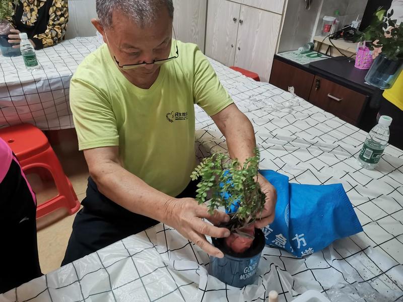 提升残障人士就业技能，观澜街道pg电子开展果蔬绿植种植培训活动.jpeg