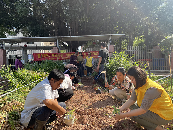 将花苗移栽到农疗基地，驱散焦虑迎接阳光