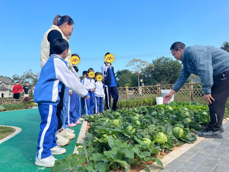 共建爱心花园，大鹏新区残疾儿童园艺疗愈项目启动2.jpeg