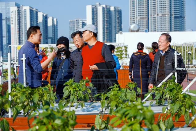 龙城街道开展促进残疾人创新创业学习交流活动2.jpg