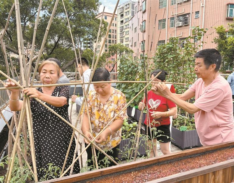 凤凰街道组织职康中心会员学习劳动技能.jpg