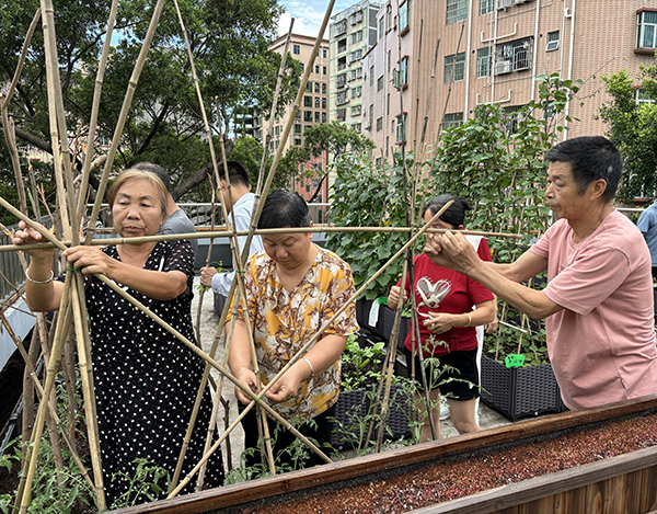 搭架子环节