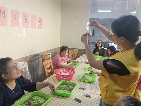 社工向大家讲解芽苗种植知识